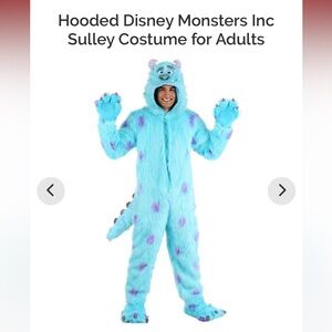 Hooded Disney monsters inc Sulley costume for adults